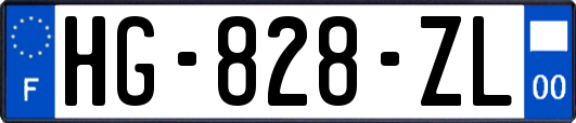 HG-828-ZL