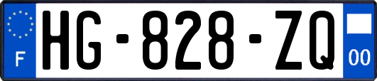 HG-828-ZQ