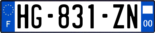 HG-831-ZN