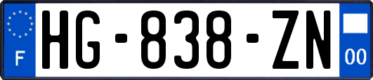 HG-838-ZN