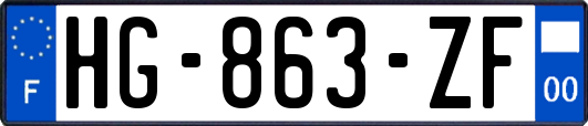 HG-863-ZF