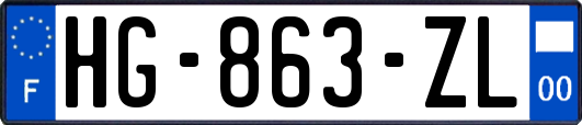 HG-863-ZL