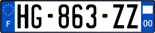 HG-863-ZZ