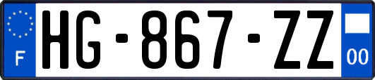 HG-867-ZZ
