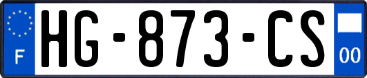 HG-873-CS