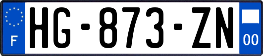 HG-873-ZN