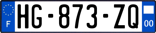 HG-873-ZQ