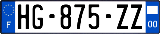 HG-875-ZZ