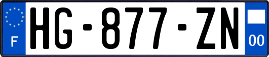 HG-877-ZN