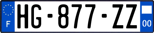HG-877-ZZ
