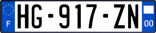 HG-917-ZN
