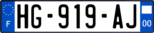 HG-919-AJ