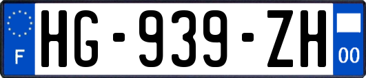 HG-939-ZH