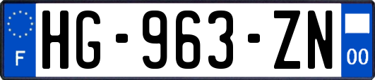 HG-963-ZN