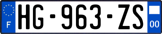 HG-963-ZS