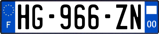 HG-966-ZN