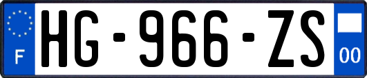 HG-966-ZS