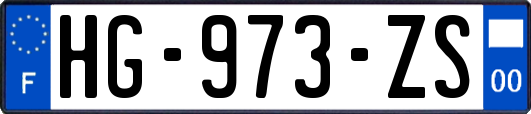HG-973-ZS