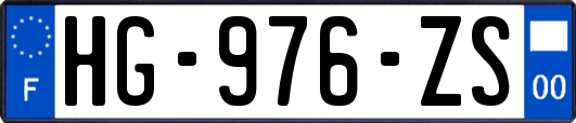 HG-976-ZS