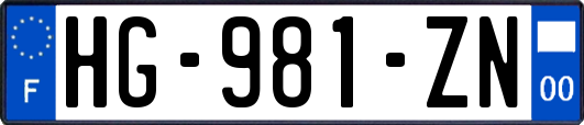 HG-981-ZN