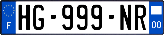 HG-999-NR