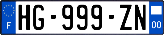 HG-999-ZN