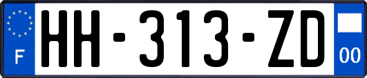 HH-313-ZD