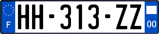 HH-313-ZZ