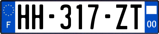 HH-317-ZT
