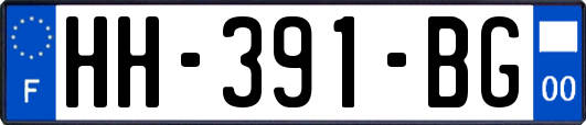 HH-391-BG