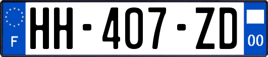 HH-407-ZD