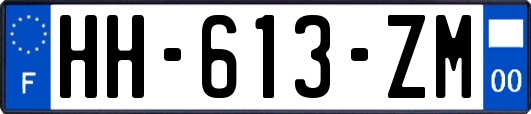 HH-613-ZM