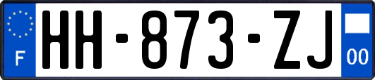 HH-873-ZJ
