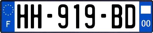 HH-919-BD