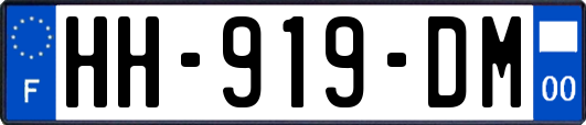 HH-919-DM