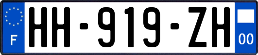 HH-919-ZH