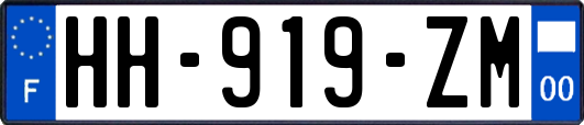 HH-919-ZM