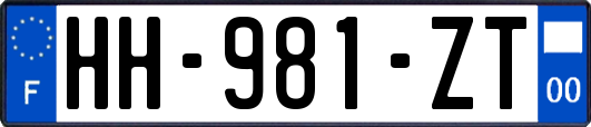 HH-981-ZT