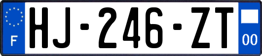 HJ-246-ZT