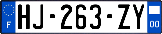 HJ-263-ZY