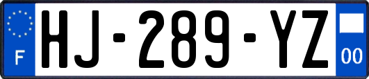 HJ-289-YZ