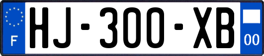HJ-300-XB