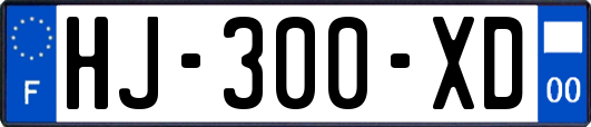 HJ-300-XD