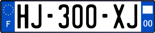 HJ-300-XJ