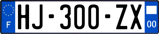 HJ-300-ZX