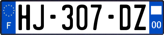 HJ-307-DZ