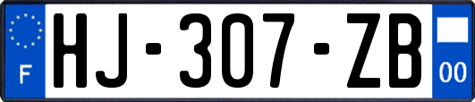 HJ-307-ZB