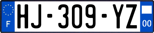 HJ-309-YZ