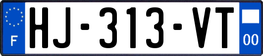 HJ-313-VT