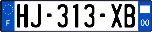 HJ-313-XB